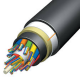 Trans-Pacific Cable to be laid before 2017
